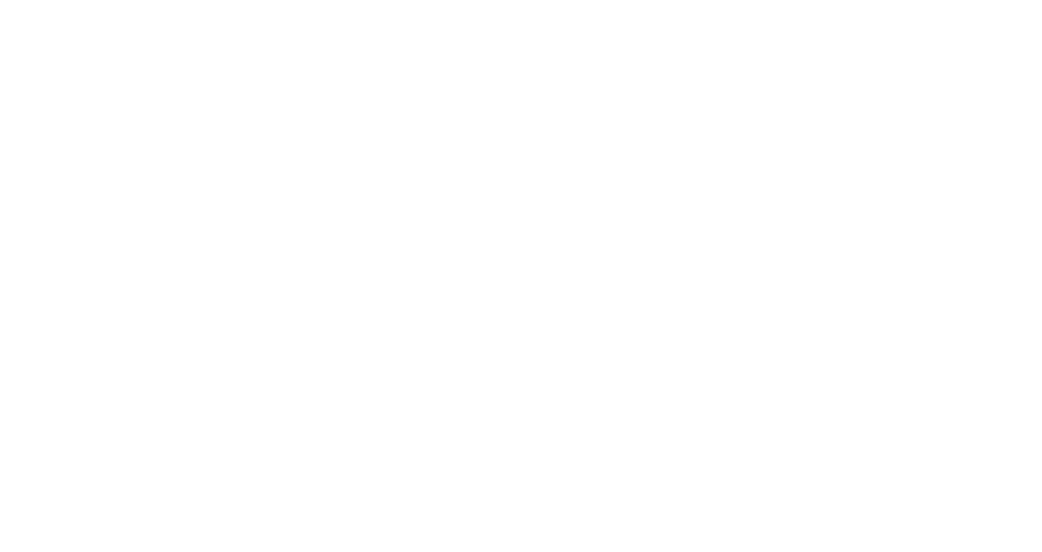 Safit Logo